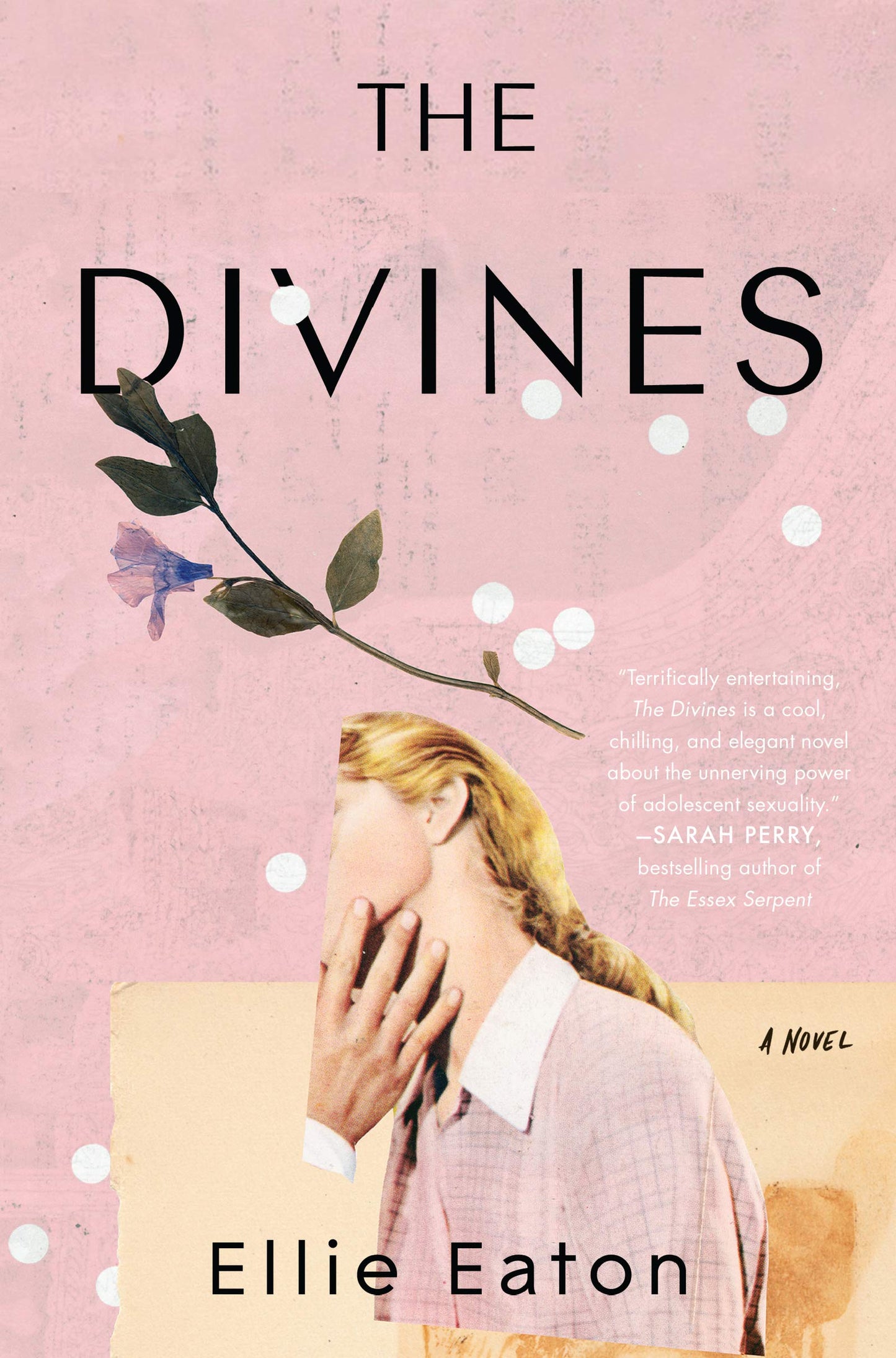 The Divines: A Gripping Elite Boarding School Coming of Age Story – Violent Secret, Teenage Girls