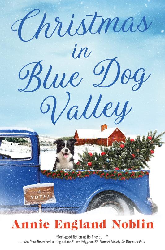 Christmas in Blue Dog Valley: A Charming Small-Town Romance – Los Angeles Veterinarian, Lovable Animals, and Finding Yourself