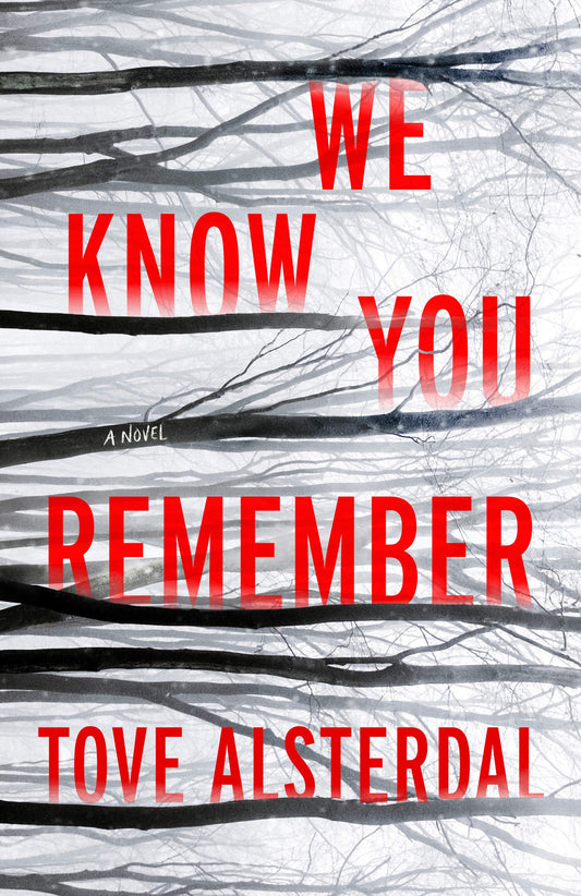 We Know You Remember: A Novel (The High Coast Series, 1) - 3994