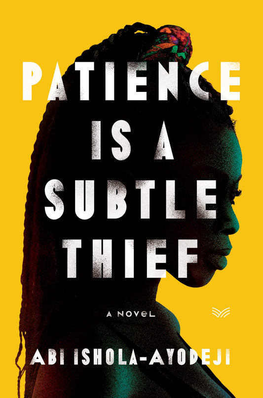 Patience Is a Subtle Thief: A Novel - 3299