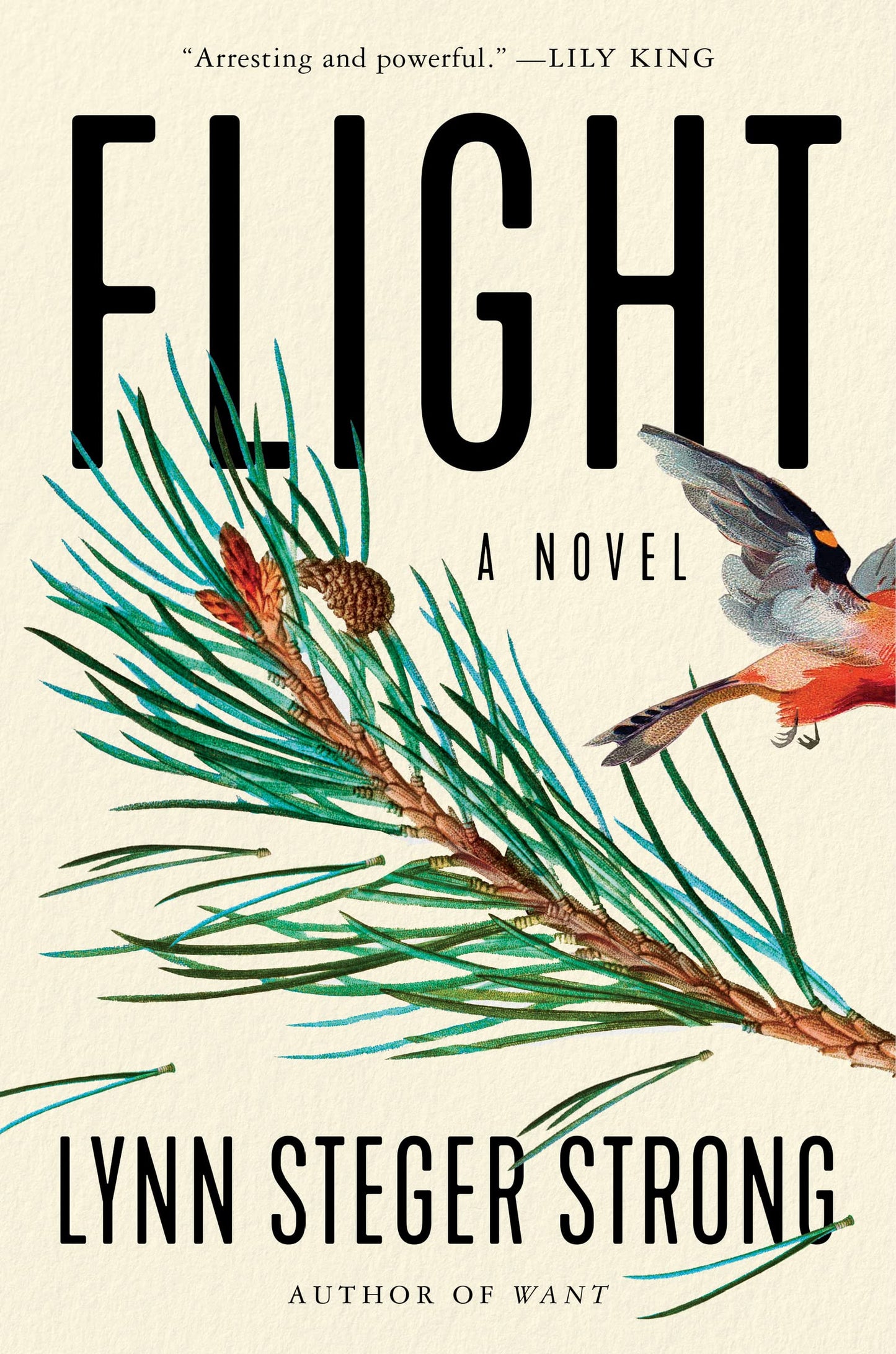 FLIGHT: A NOVEL