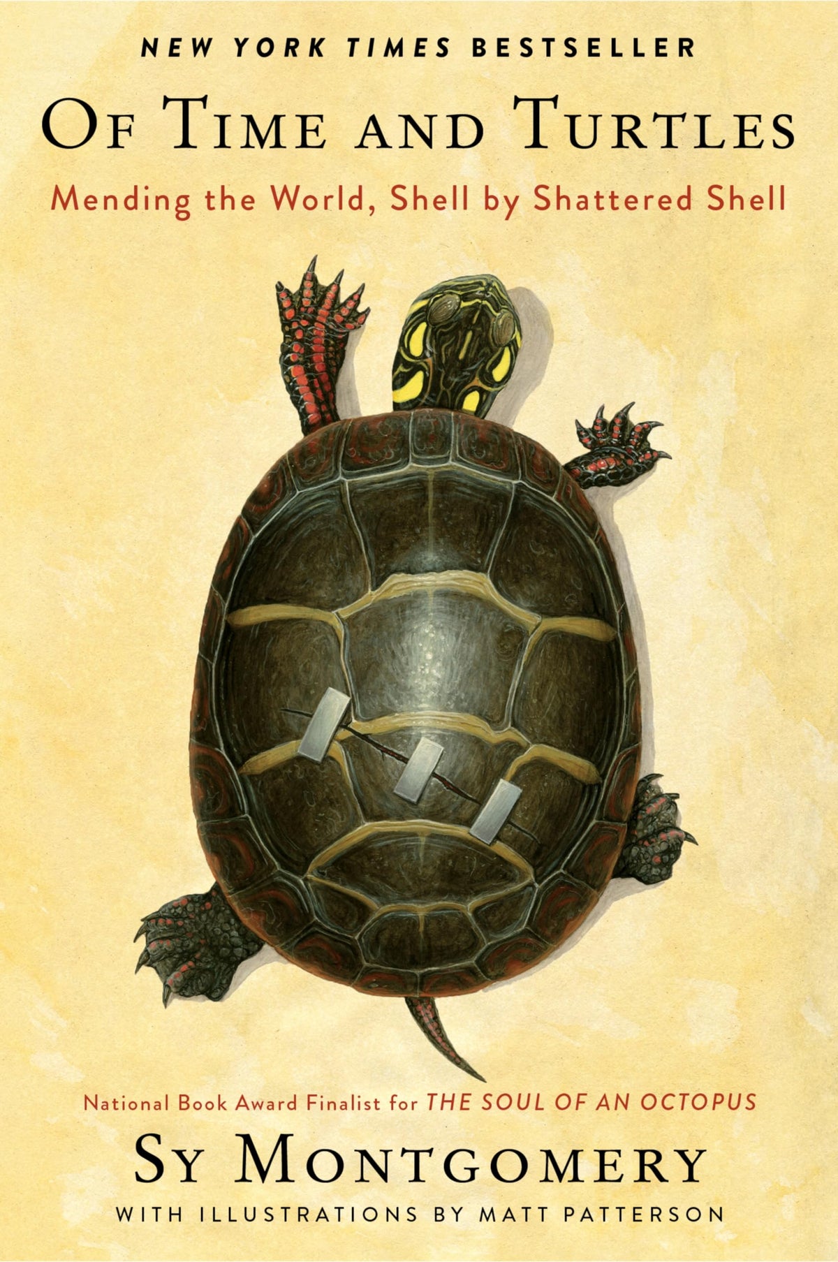 Of Time and Turtles: Mending the World, Shell by Shattered Shell―A Heartwarming Compassionate Portrait of Injured Turtles, Perfect for Nature Lovers.