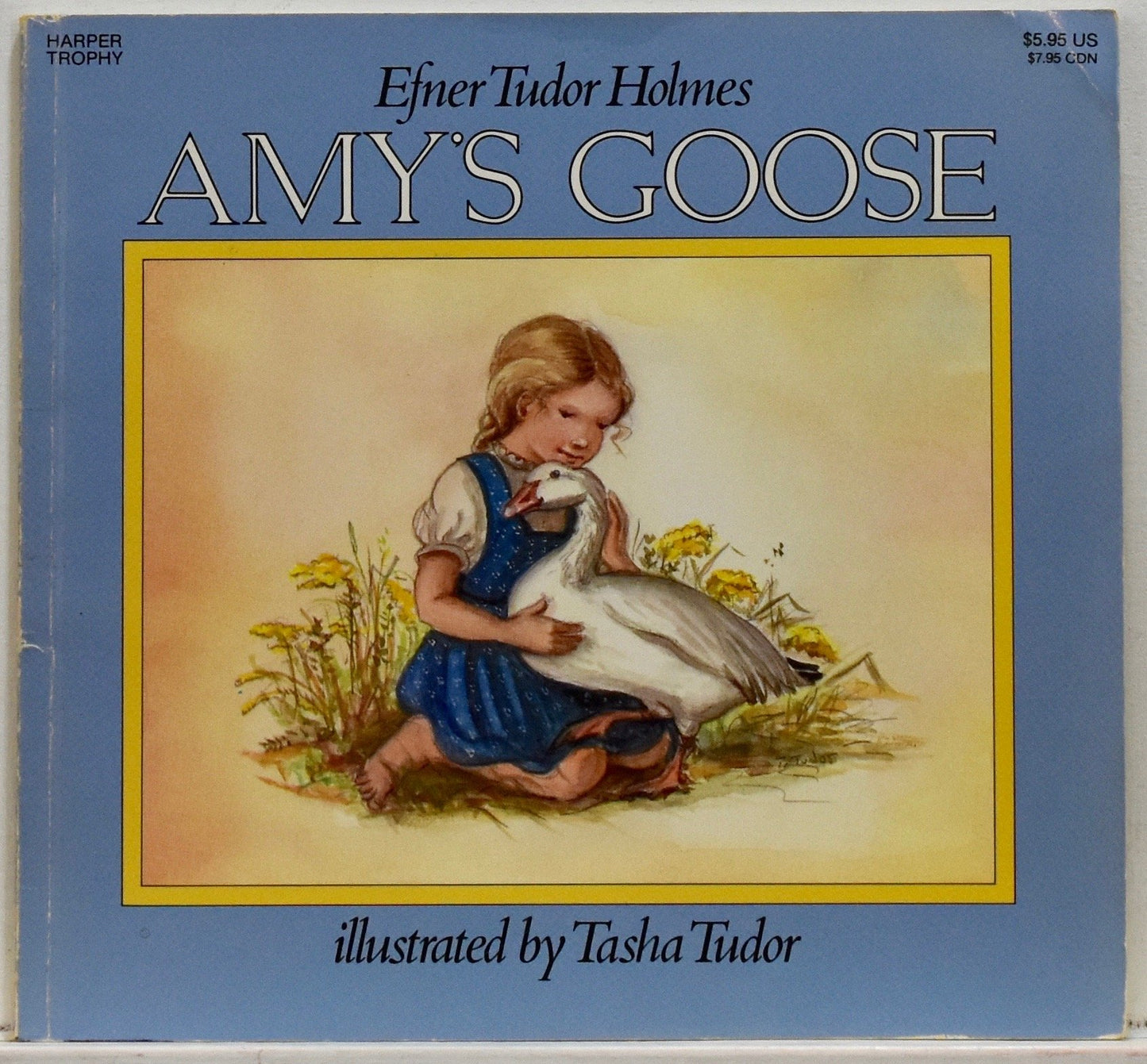 Amy's Goose