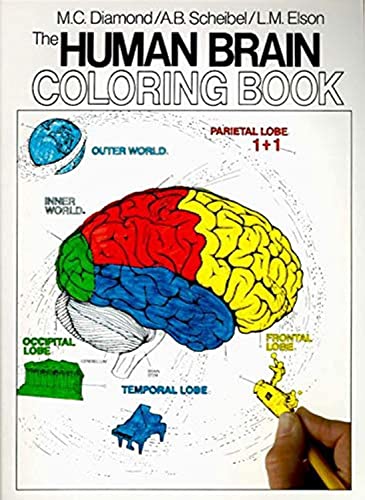 The Human Brain Coloring Book: A Coloring Book (Coloring Concepts) - 5572
