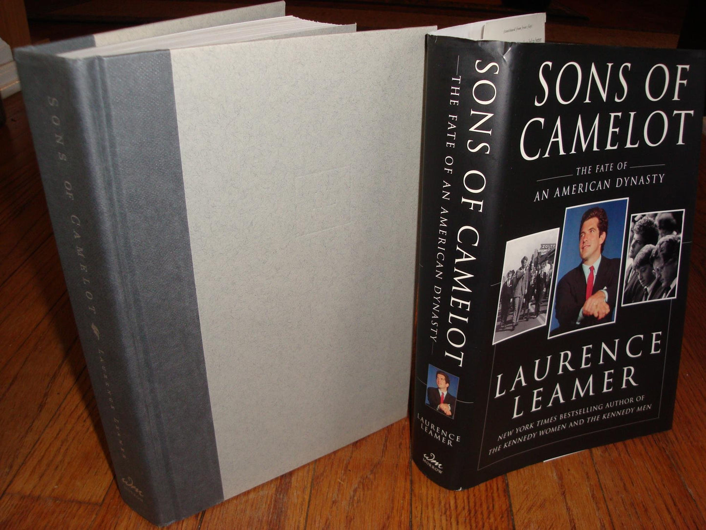 Sons of Camelot: The Fate of an American Dynasty