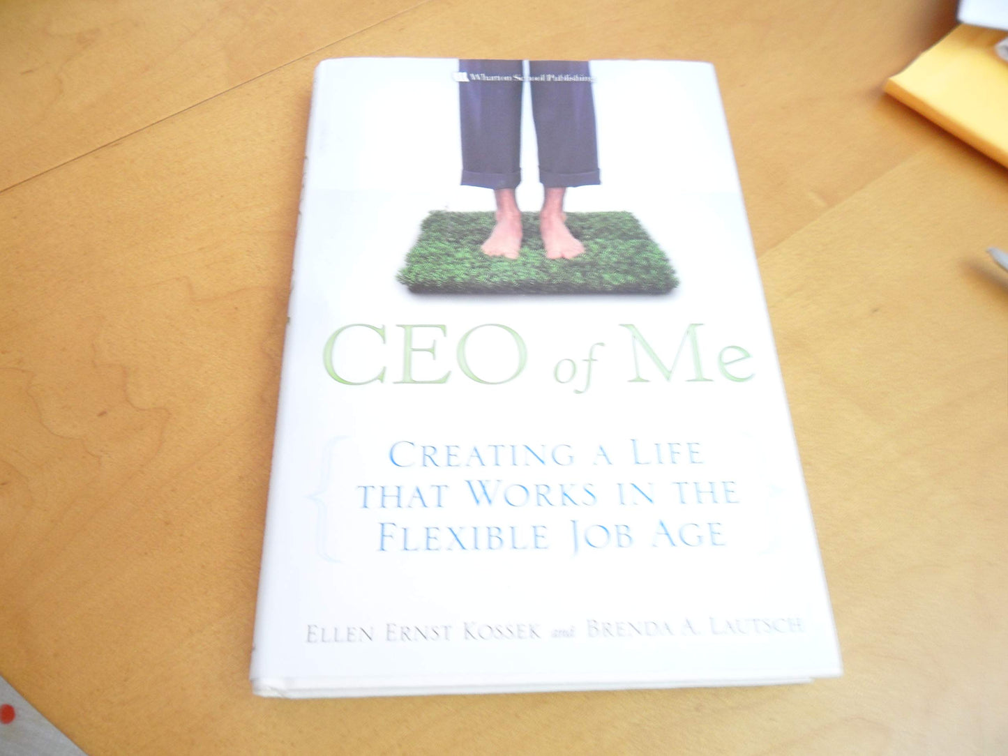 CEO of Me: Creating a Life That Works in the Flexible Job Age - 6207