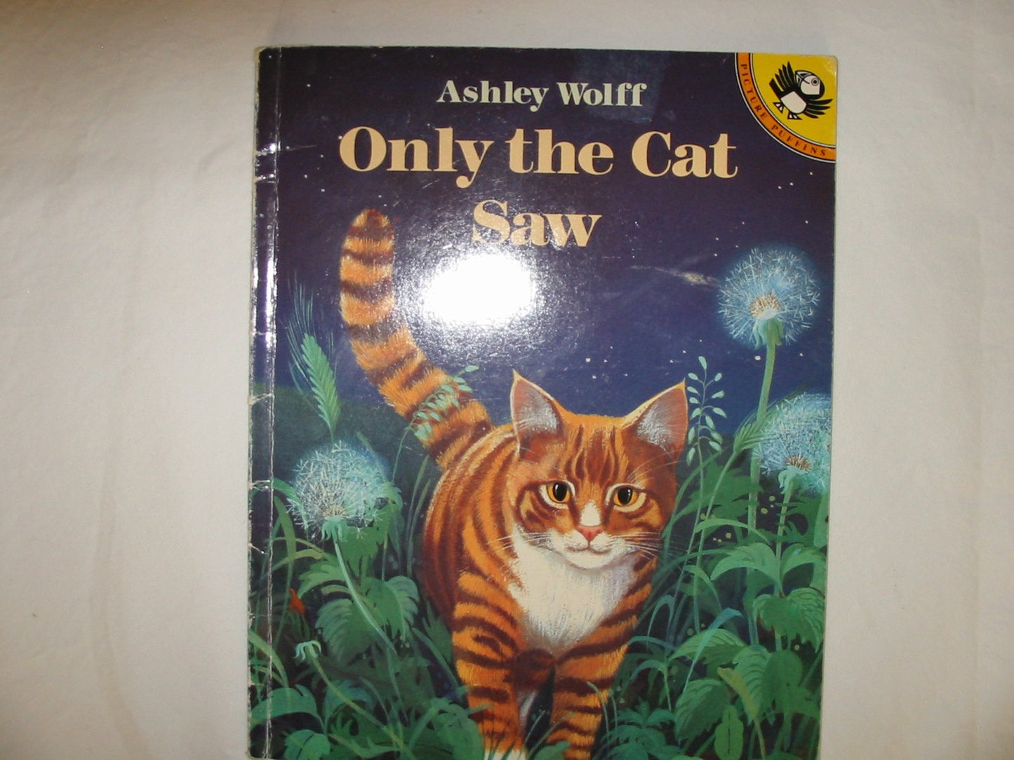 Only the Cat Saw (Picture Puffins)
