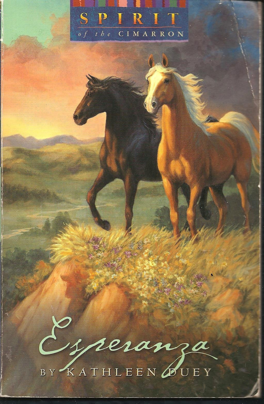 Esperanza (Spirit of the Cimarron) - 3820