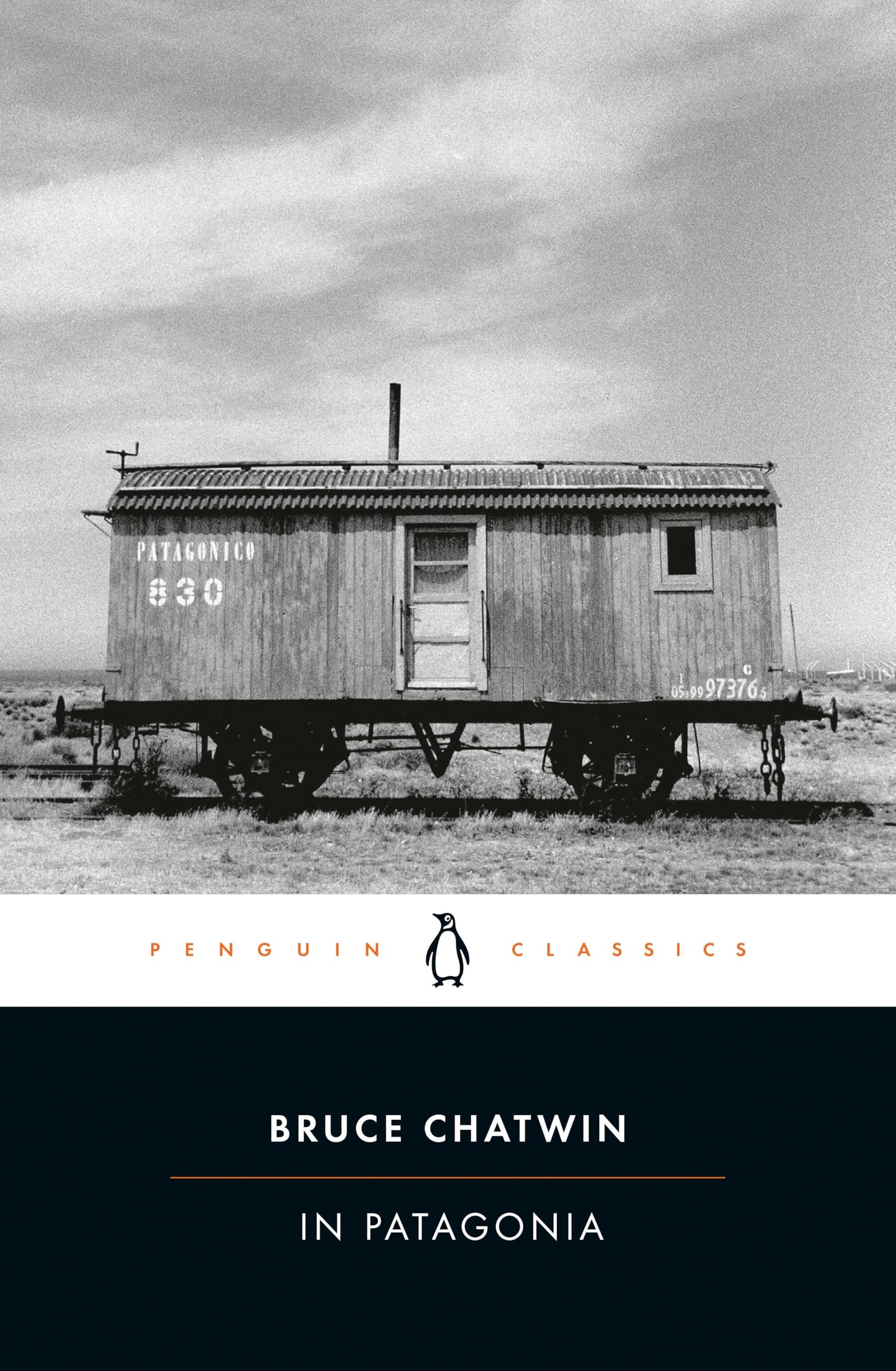 In Patagonia (Penguin Classics) - 9513