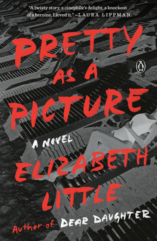 Pretty as a Picture: A Novel