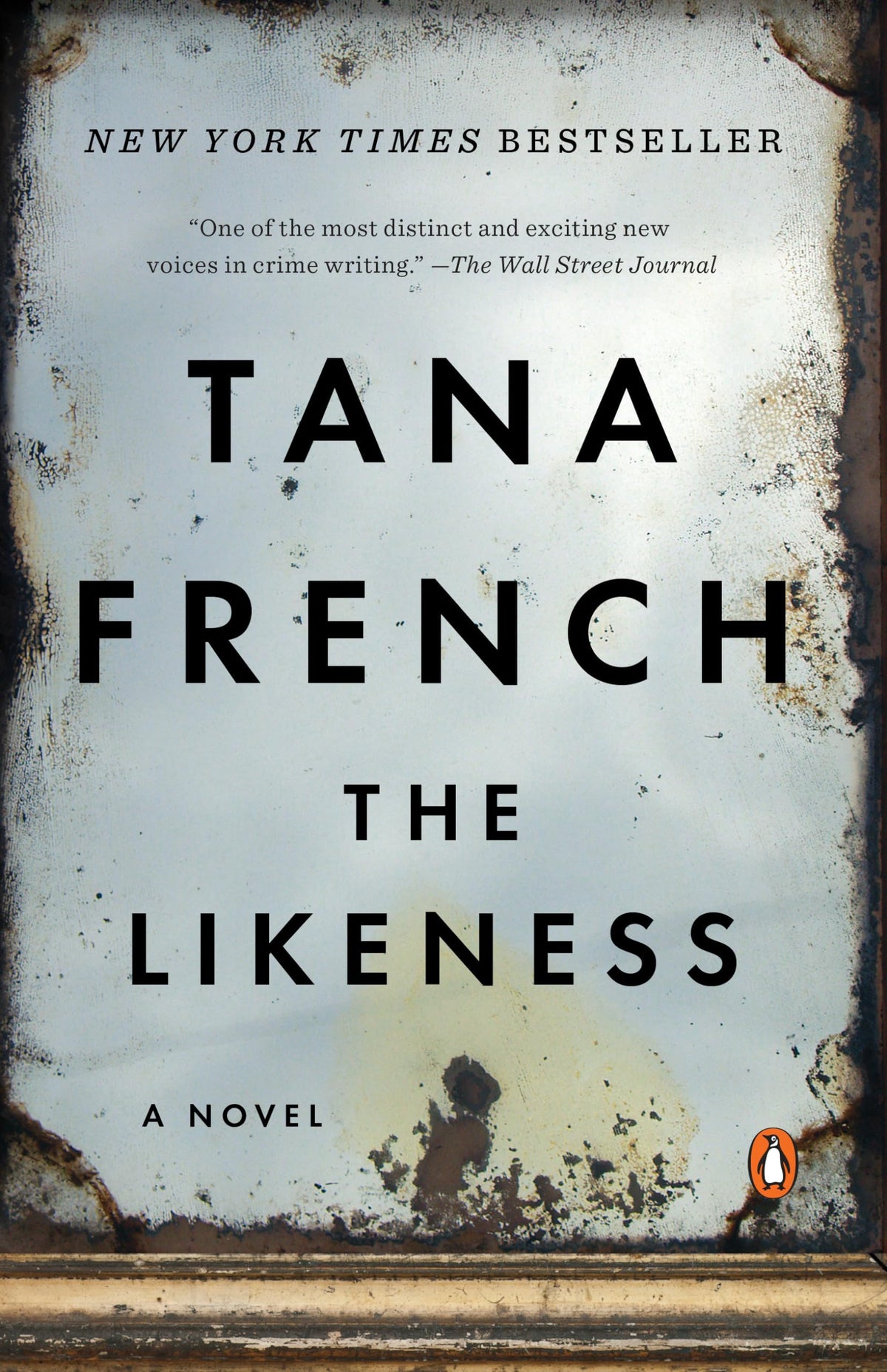 The Likeness (Dublin Murder Squad)