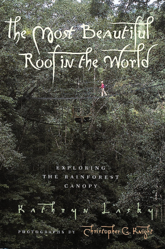 The Most Beautiful Roof in the World: Exploring the Rainforest Canopy - 6296
