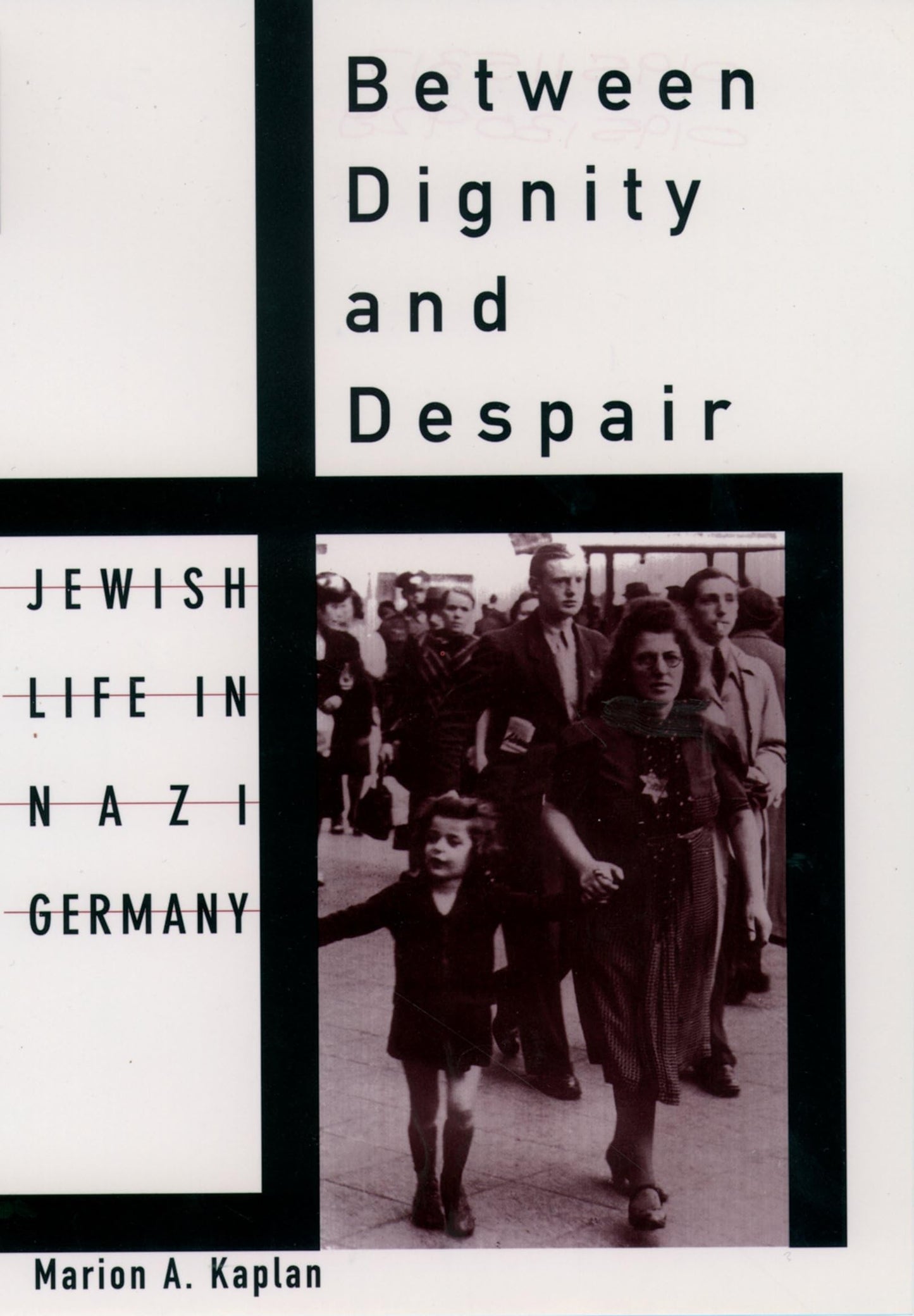 Between Dignity and Despair: Jewish Life in Nazi Germany (Studies in Jewish History) - 6844