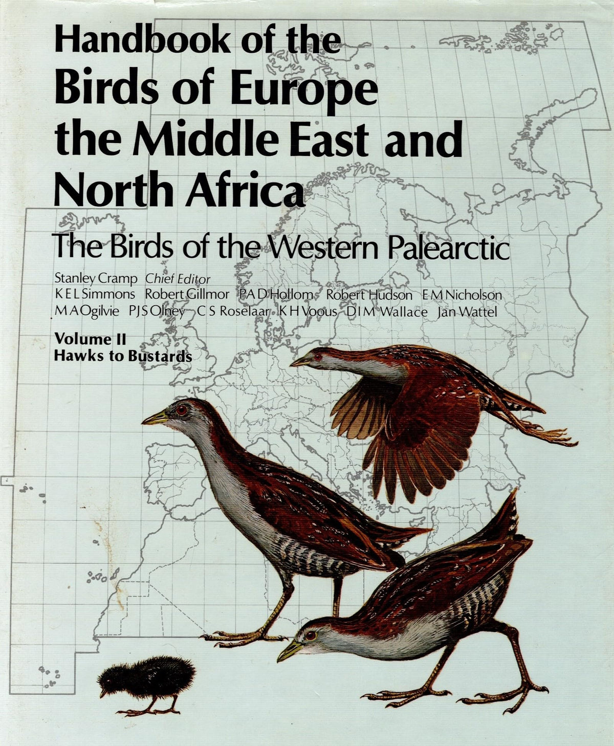 Handbook of the Birds of Europe, the Middle East and North Africa: The Birds of the Western Paleartic, Vol. 2: Hawks to Bustards