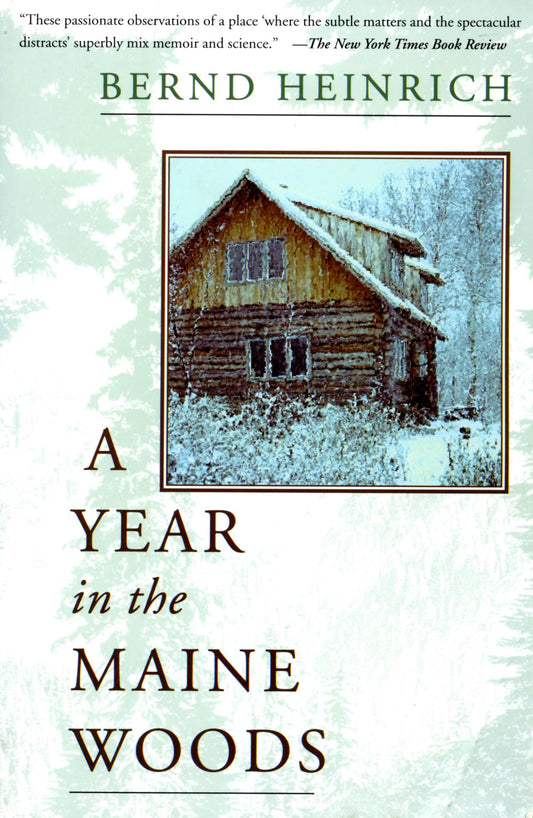 A Year In The Maine Woods - 8100