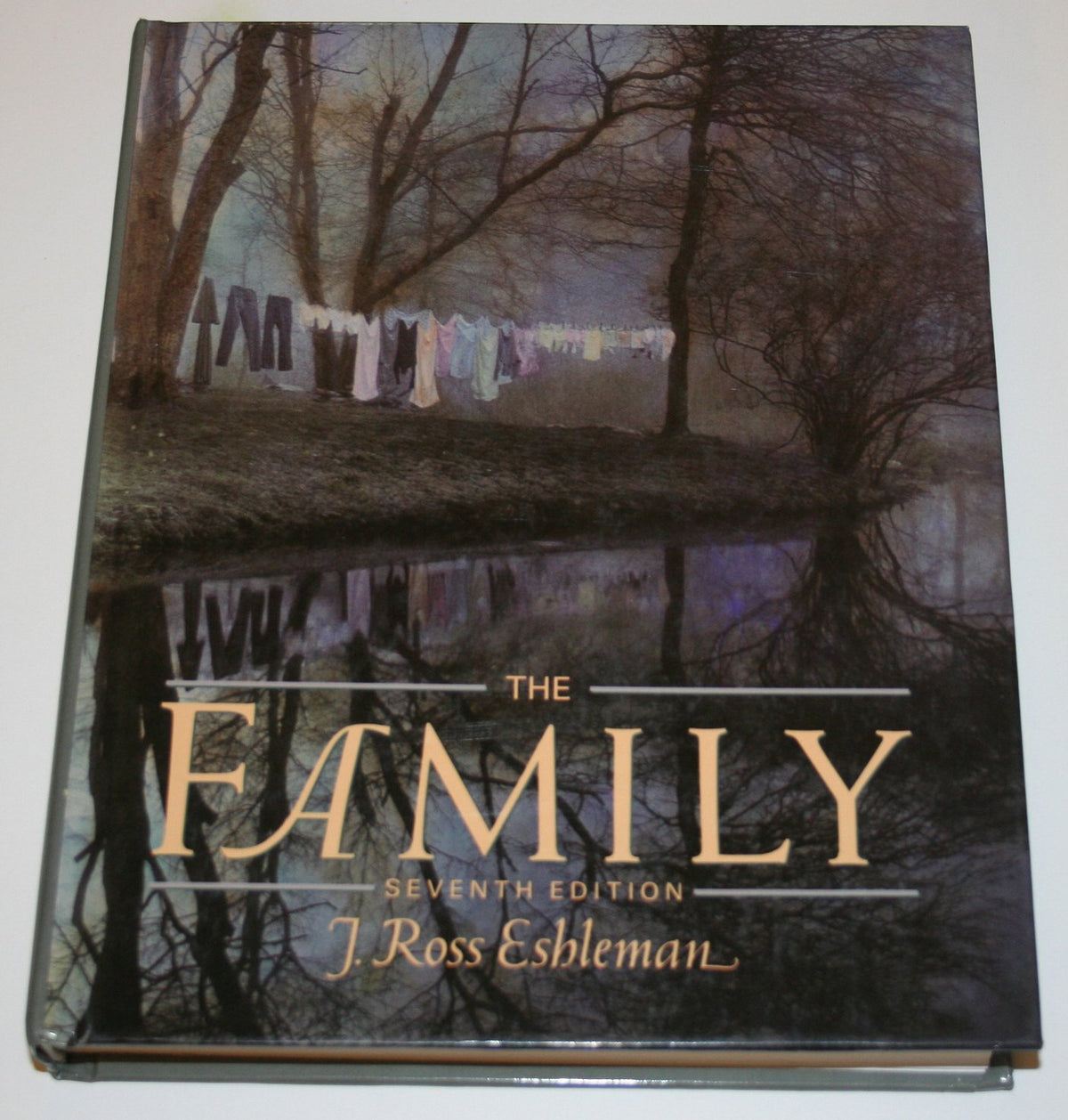 The Family: An Introduction