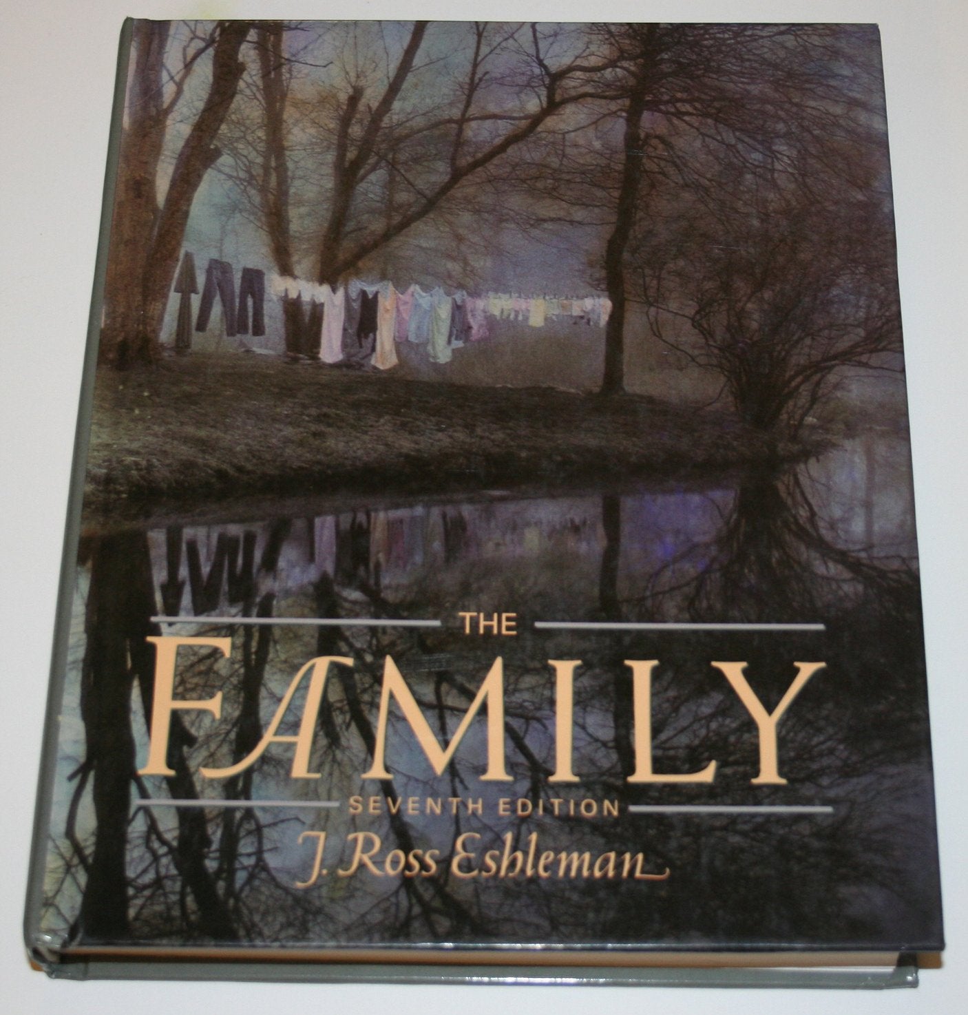 The Family: An Introduction