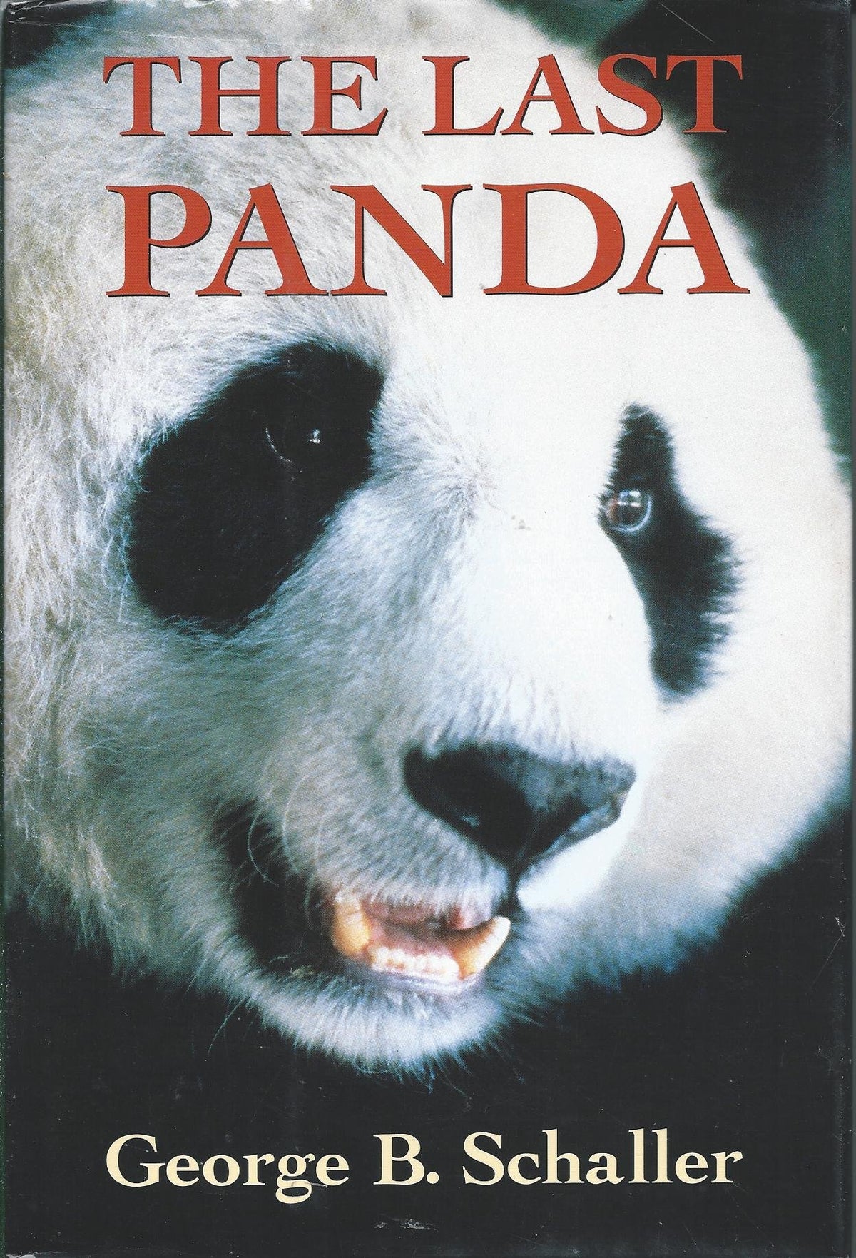 The Last Panda
