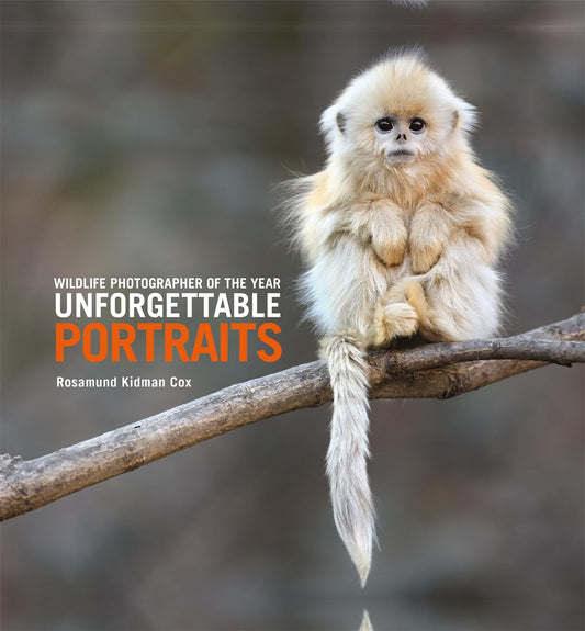 Unforgettable Portraits