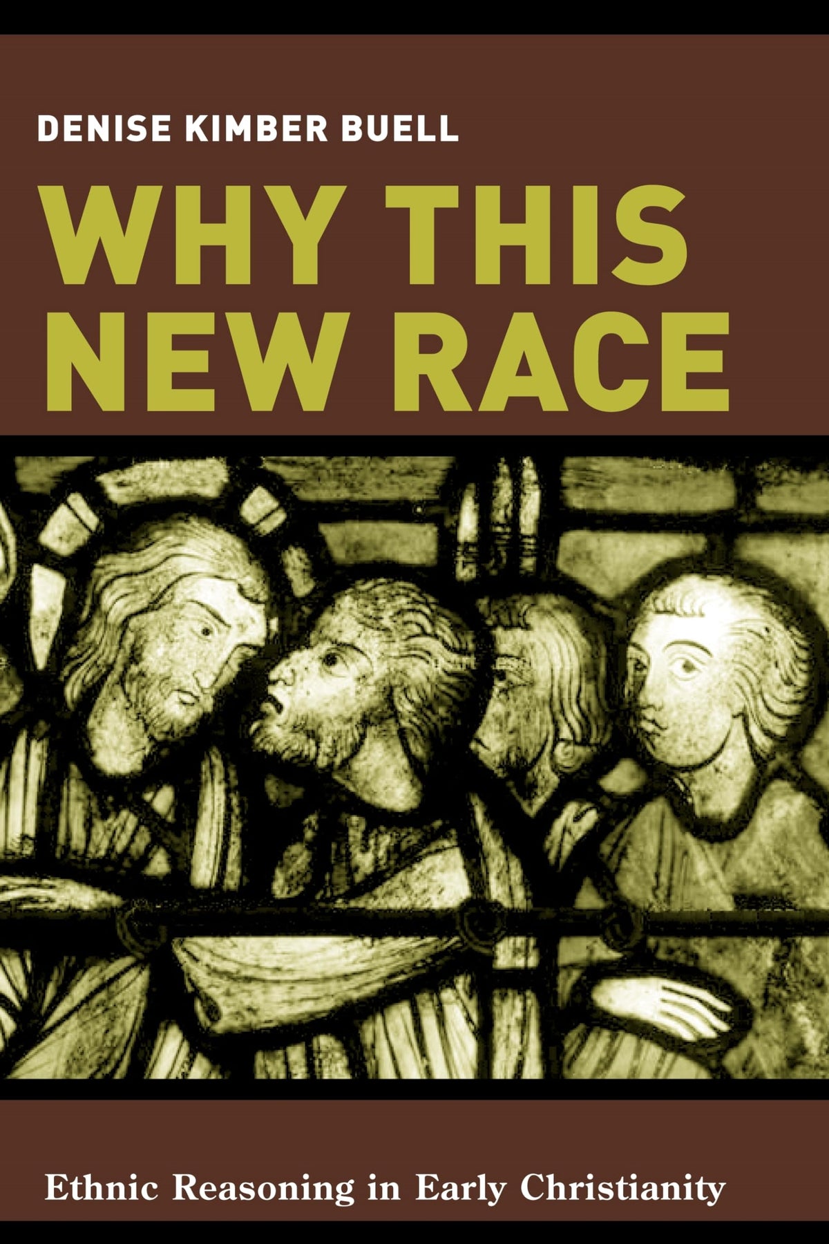 Why This New Race: Ethnic Reasoning in Early Christianity (Gender, Theory, and Religion)