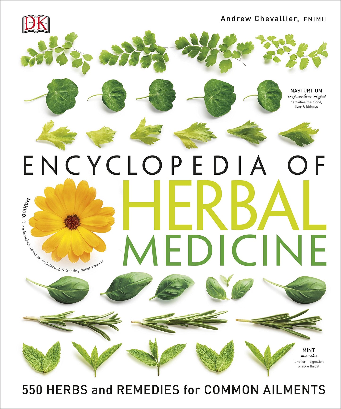 Encyclopedia Of Herbal Medicine - 5252
