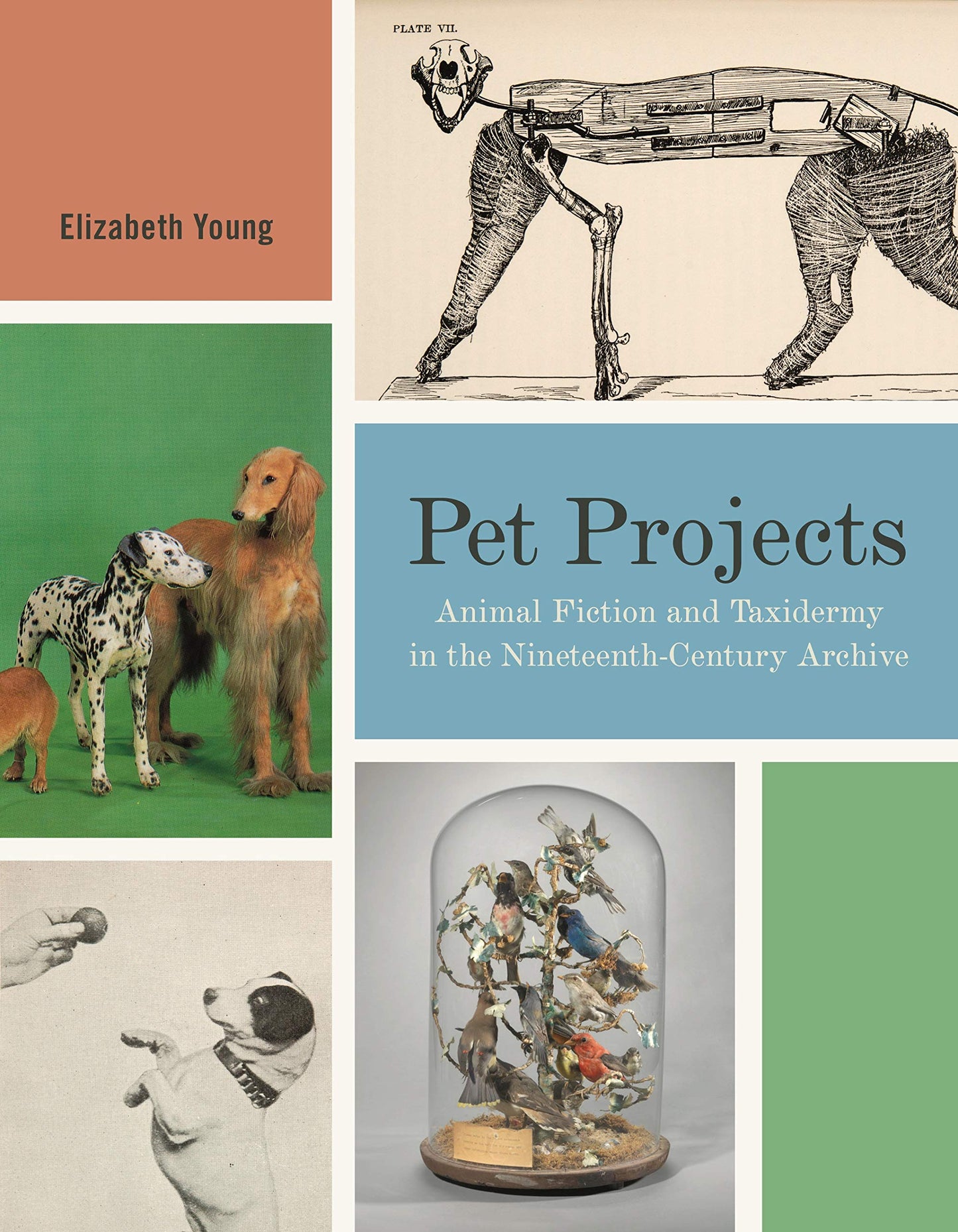Pet Projects: Animal Fiction and Taxidermy in the Nineteenth-Century Archive (Animalibus: Of Animals and Cultures)