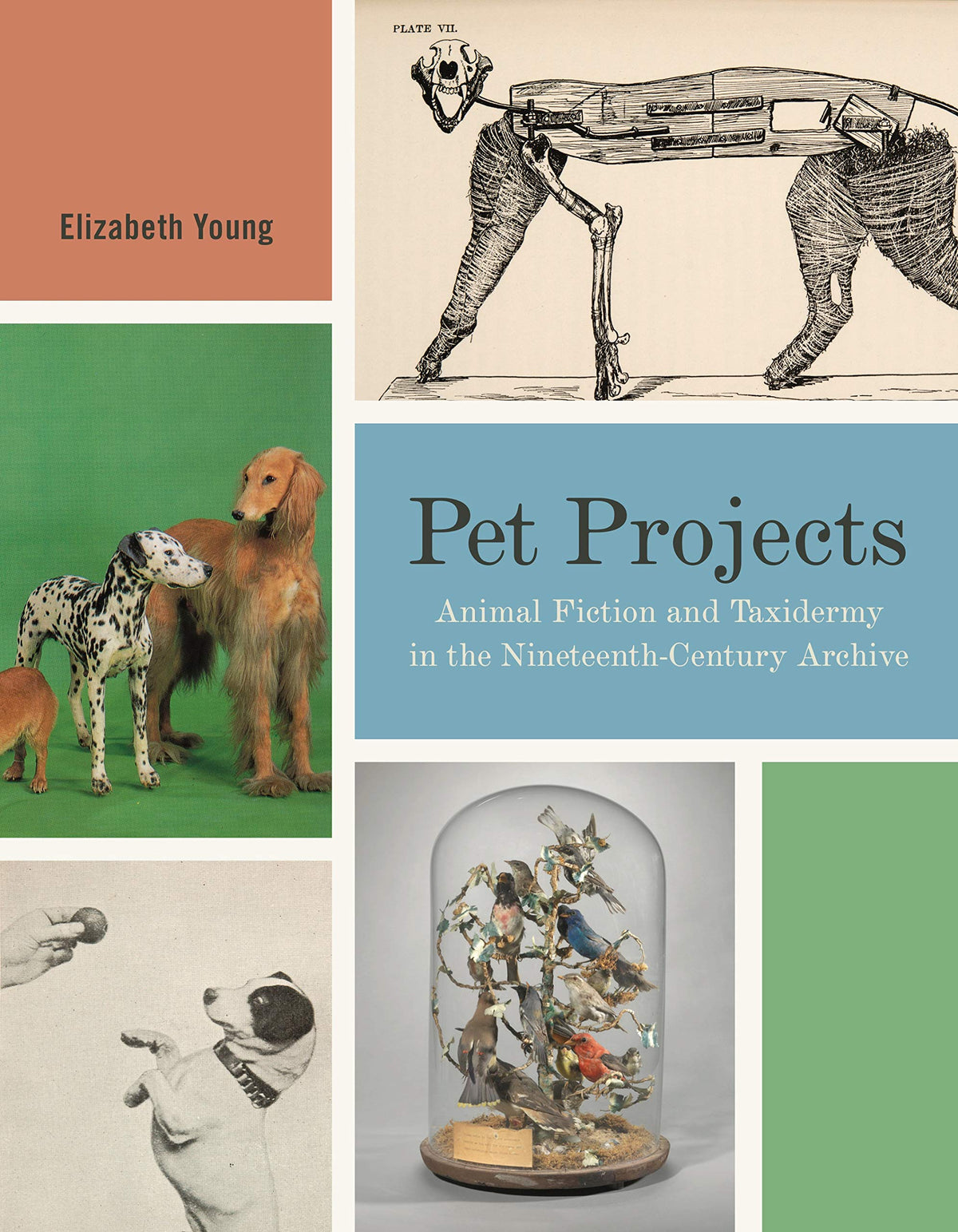 Pet Projects: Animal Fiction and Taxidermy in the Nineteenth-Century Archive (Animalibus: Of Animals and Cultures)