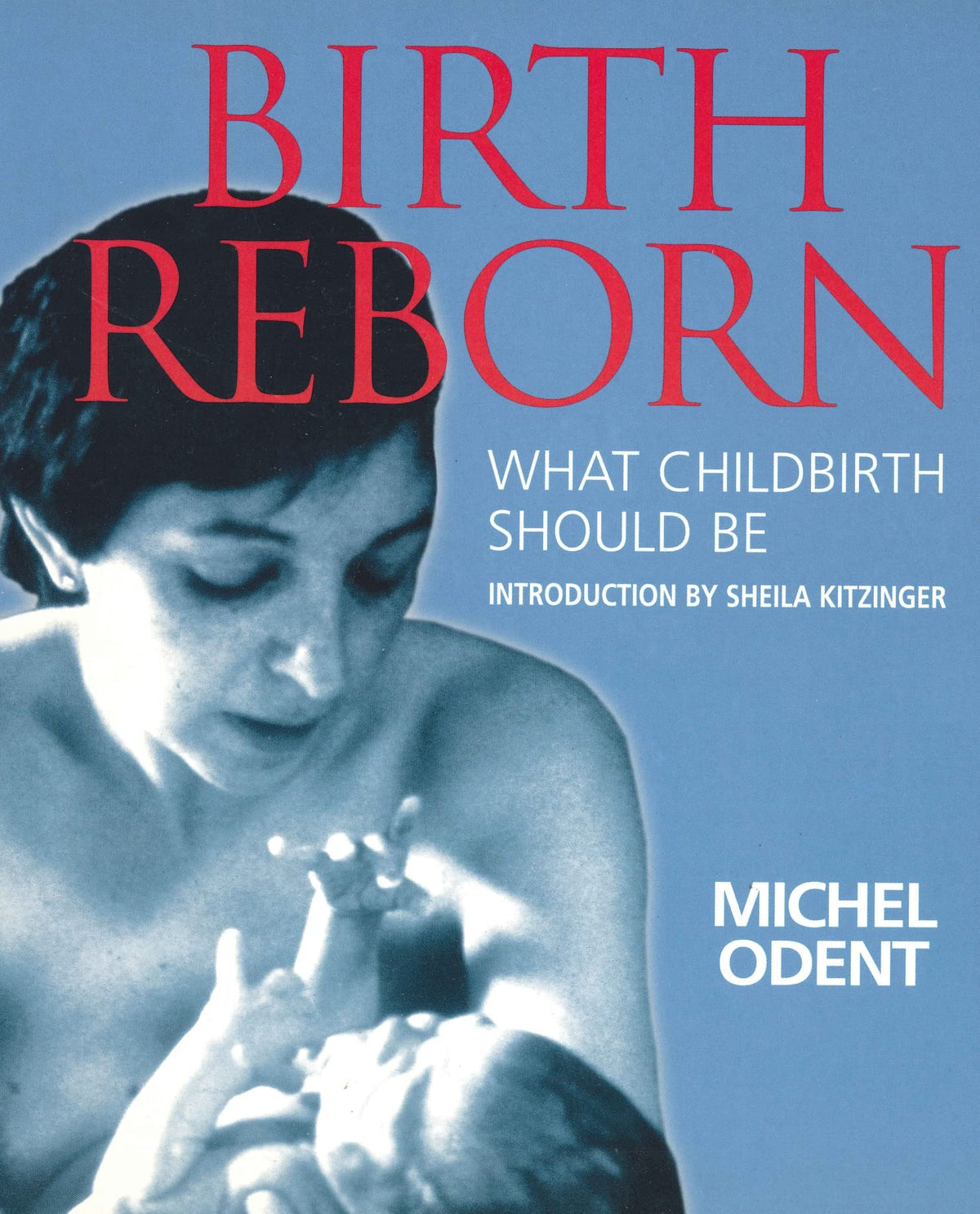 Birth Reborn : What Childbirth Should Be