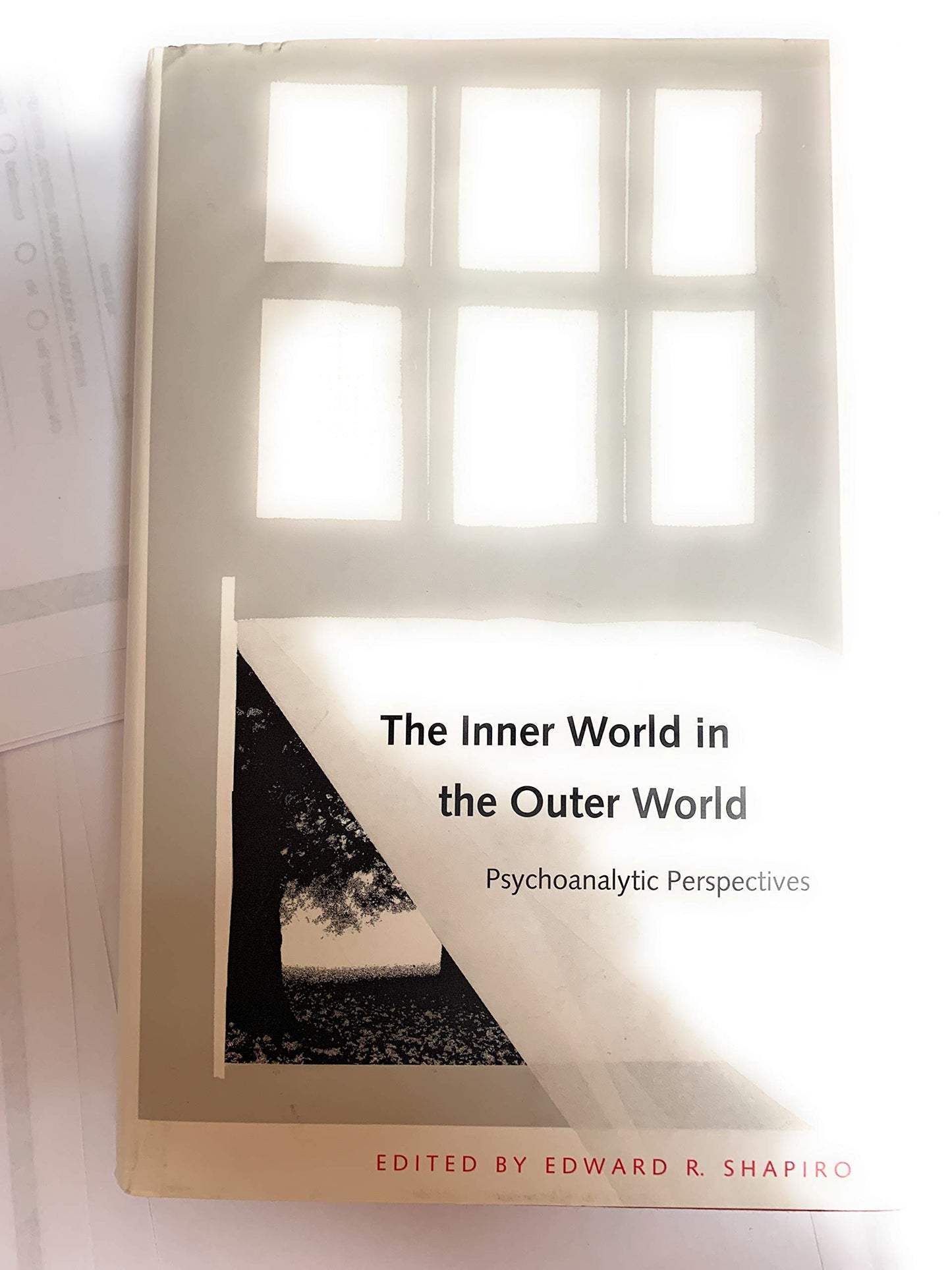 The Inner World in the Outer World: Psychoanalytic Perspectives