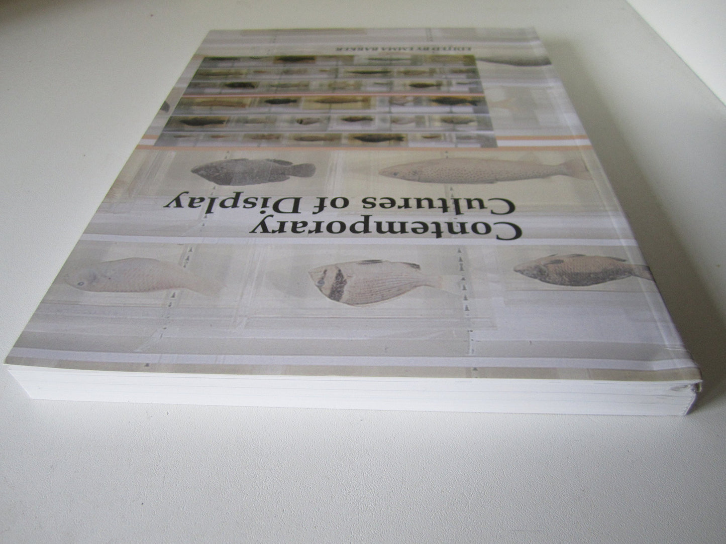 Contemporary Cultures of Display (Art and Its Histories Series)