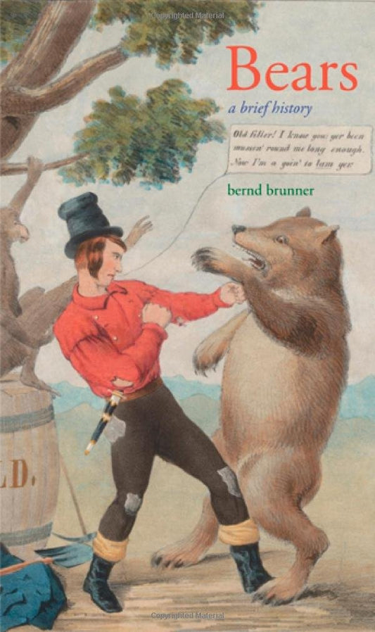 Bears: A Brief History