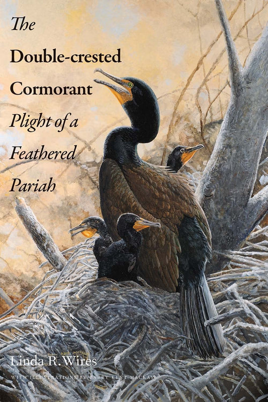 Double-Crested Cormorant: Plight of a Feathered Pariah - 1455