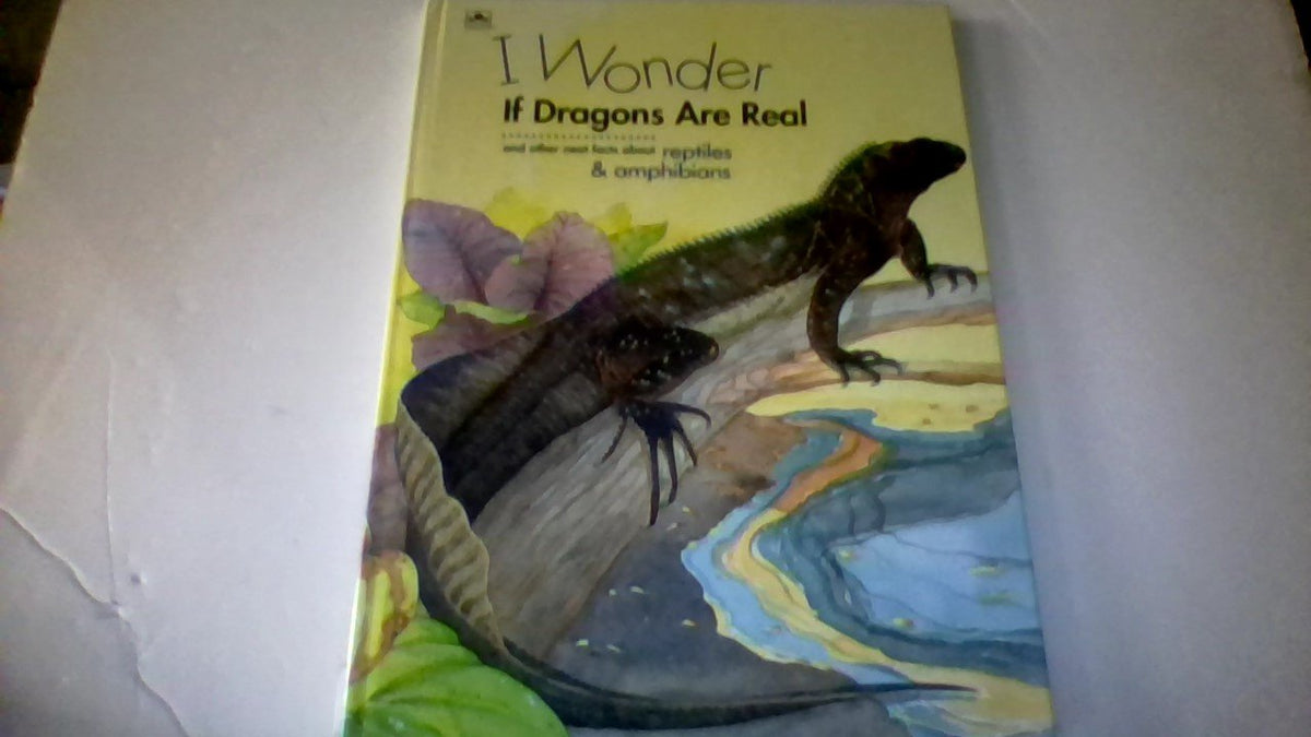 I Wonder If Dragons Are Real? (Fun Facts for Curious Kids)