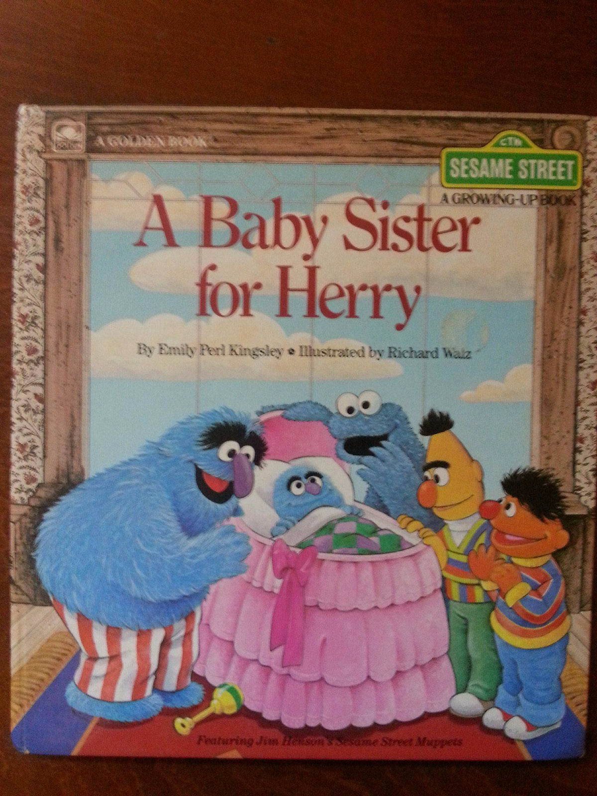Baby Sister for Herry