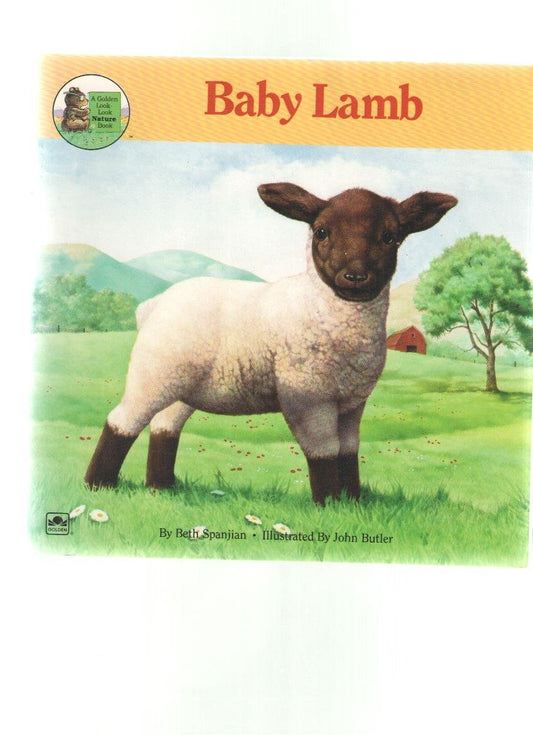 Baby Lamb (Look Look Nature Book)