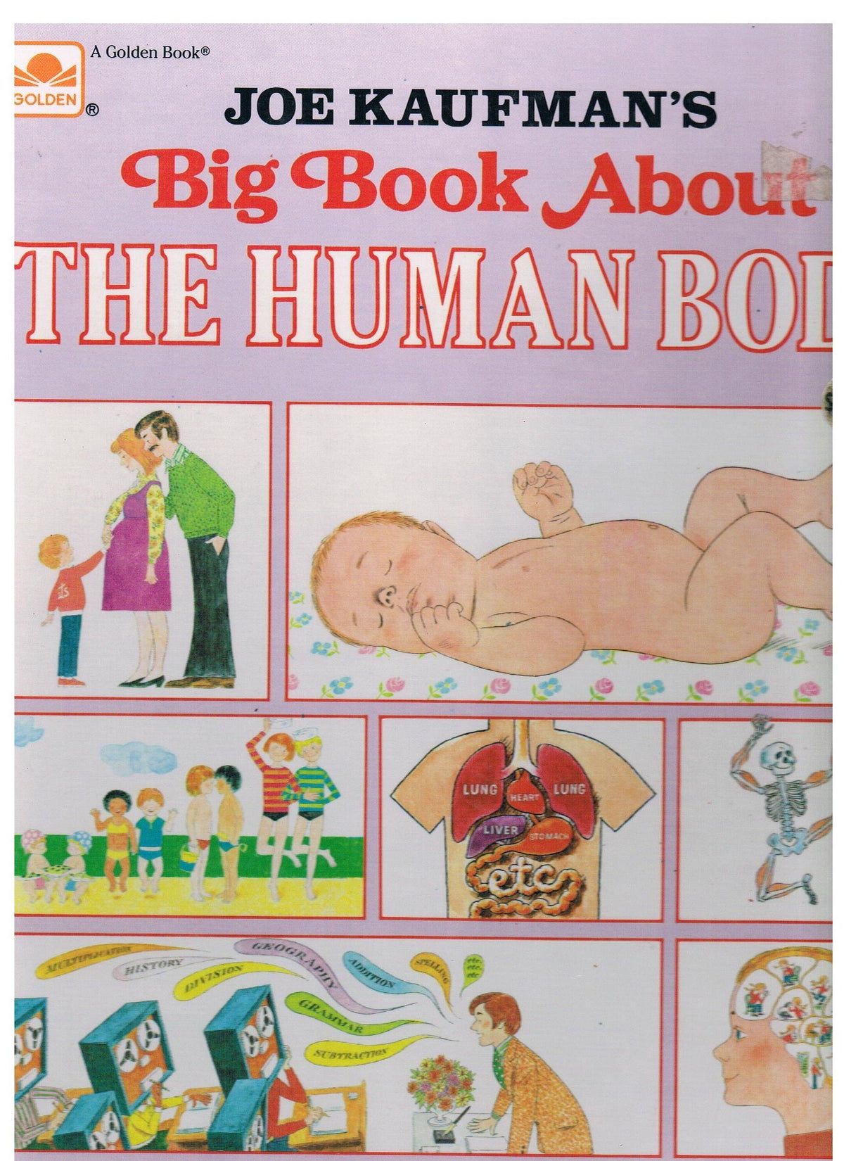 Joe Kaufman's Big Book About the Human Body