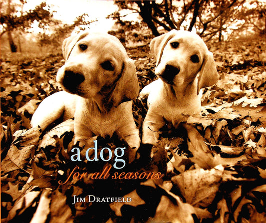 A Dog for All Seasons