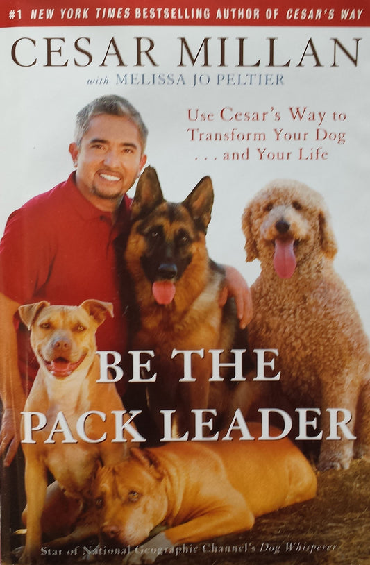 BE THE PACK LEADER: USE CESAR'S - 3549