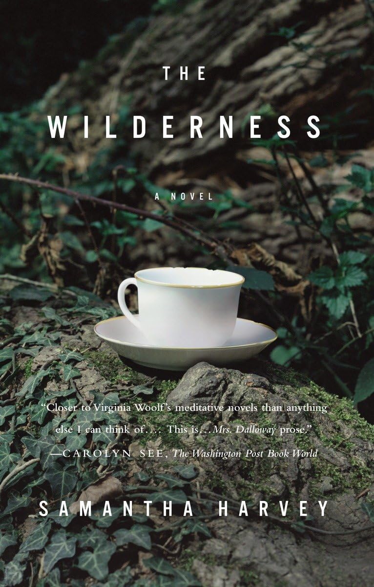 The Wilderness: A Novel