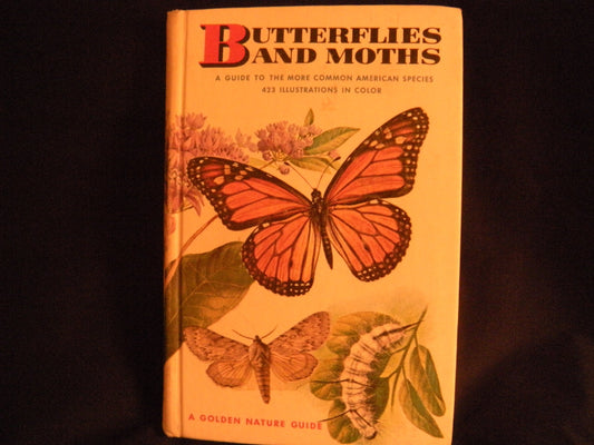 Butterflies and Moths (Golden Guides)