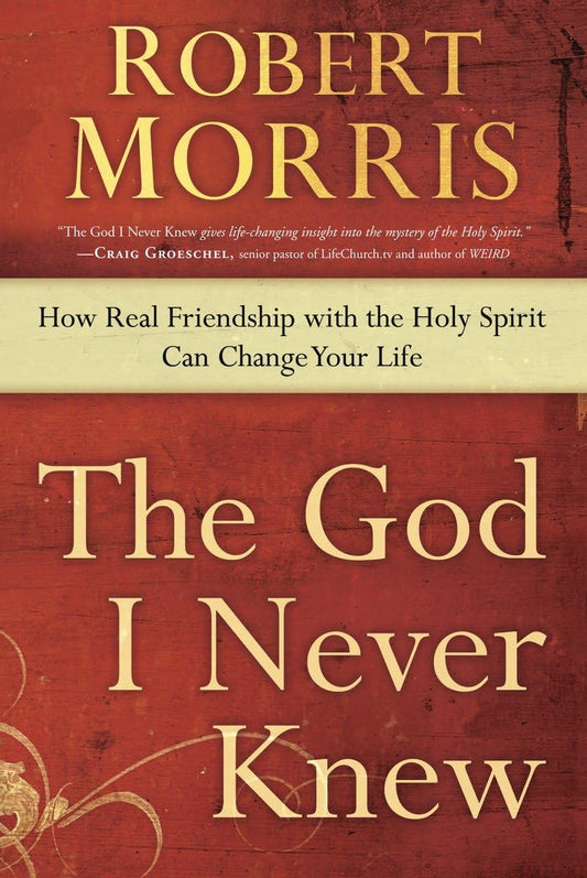 The God I Never Knew: How Real Friendship with the Holy Spirit Can Change Your Life - 597