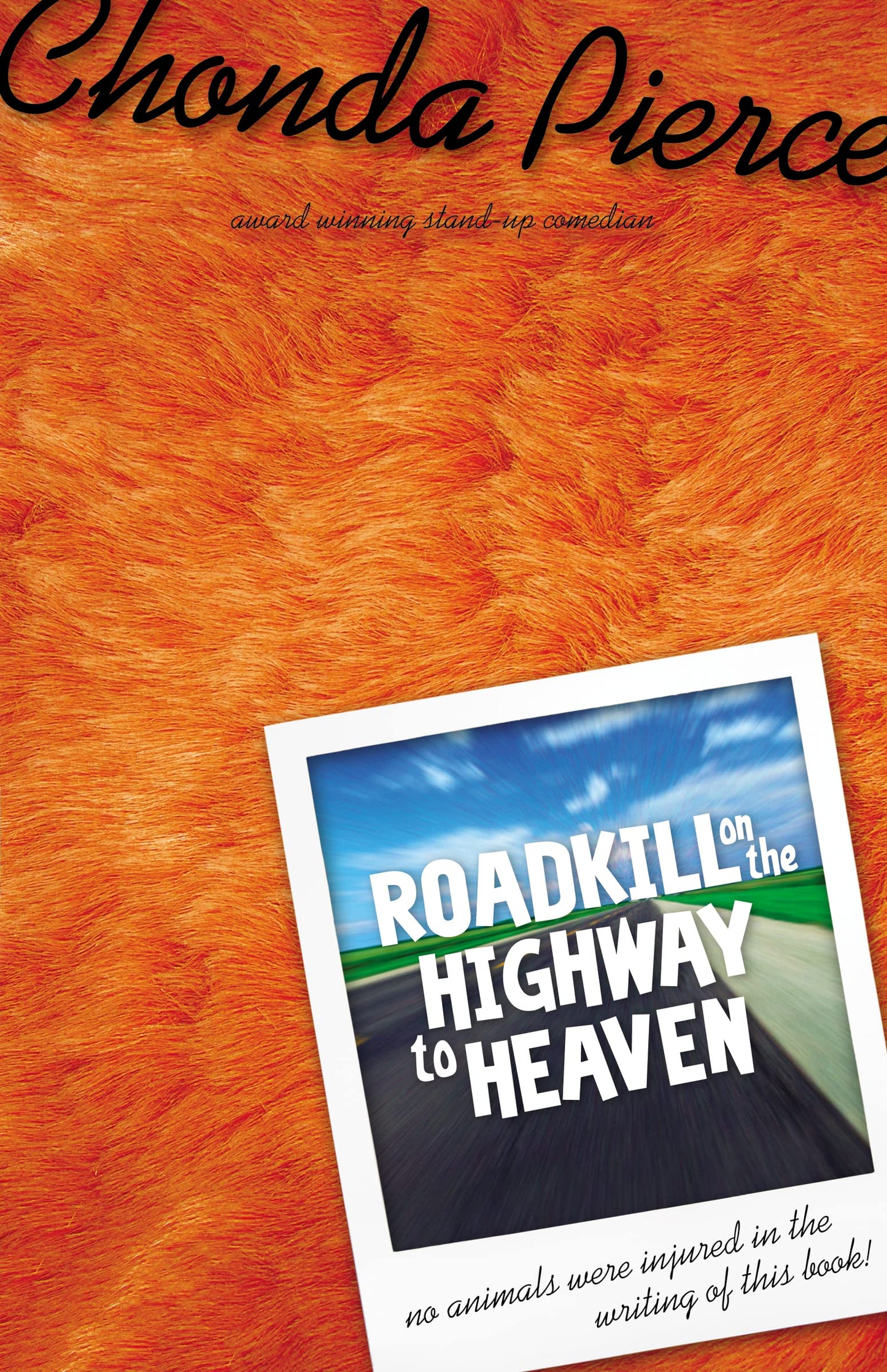 Roadkill on the Highway to Heaven: Has Life Left You Flatter than a Steam-Rolled Possum?