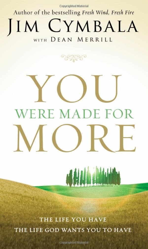 You Were Made for More: The Life You Have, the Life God Wants You to Have