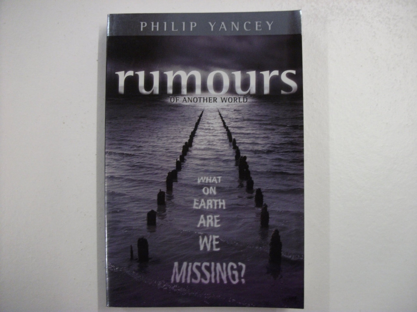 Rumours of Another World: What on Earth Are We Missing?