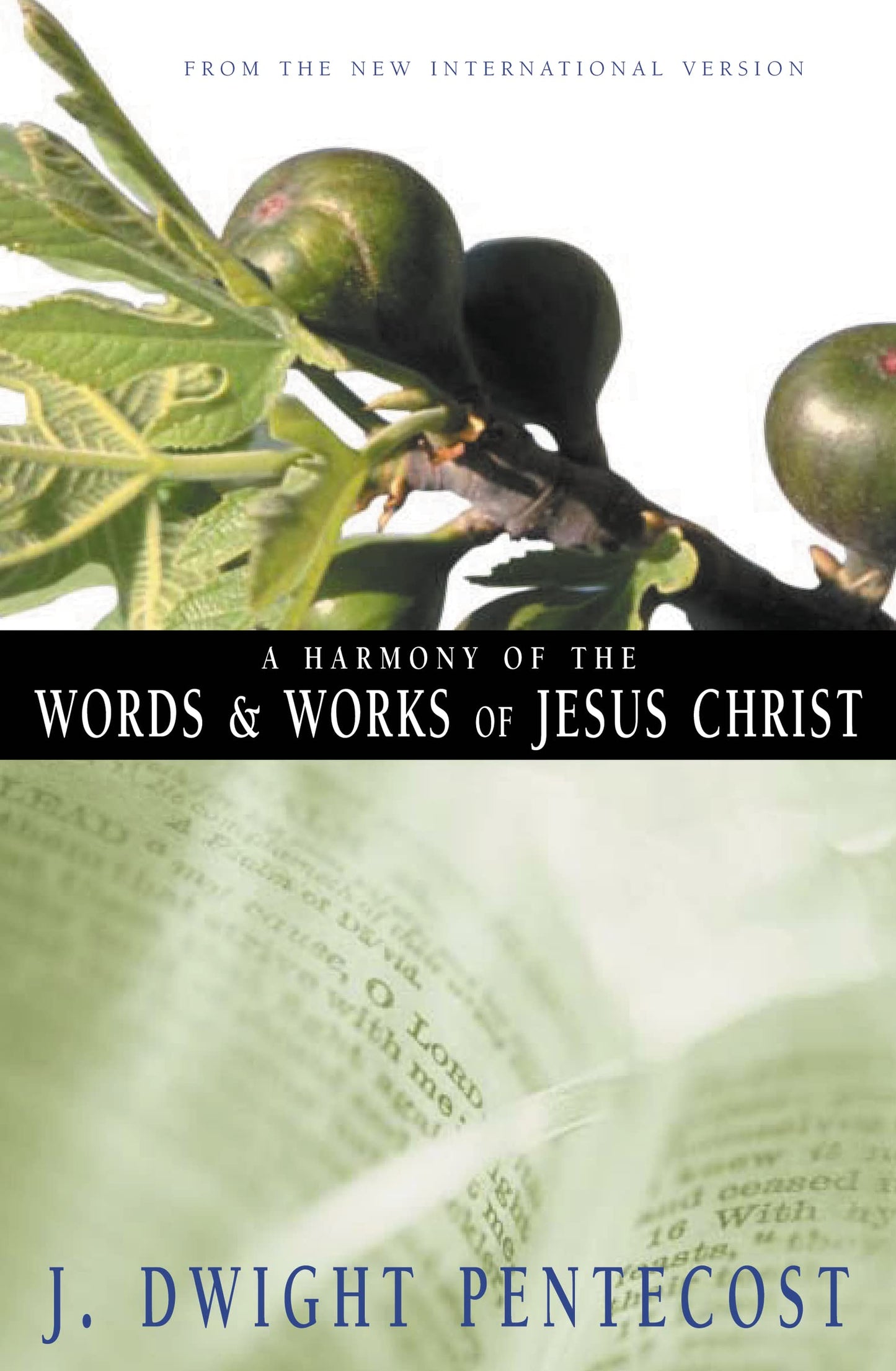 A Harmony of the Words and Works of Jesus Christ: From the New International Version