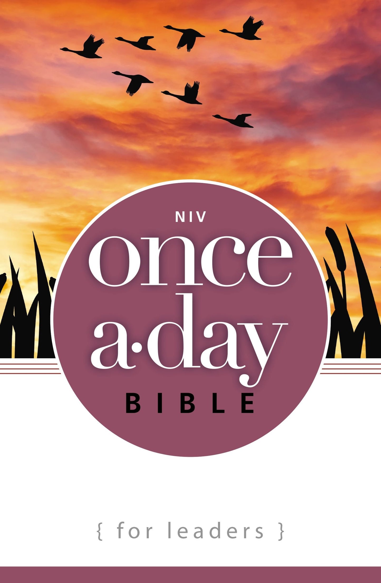 NIV, Once-A-Day Bible for Leaders, Paperback