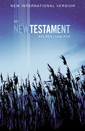 NIV, Outreach New Testament, Large Print, Paperback - 3307