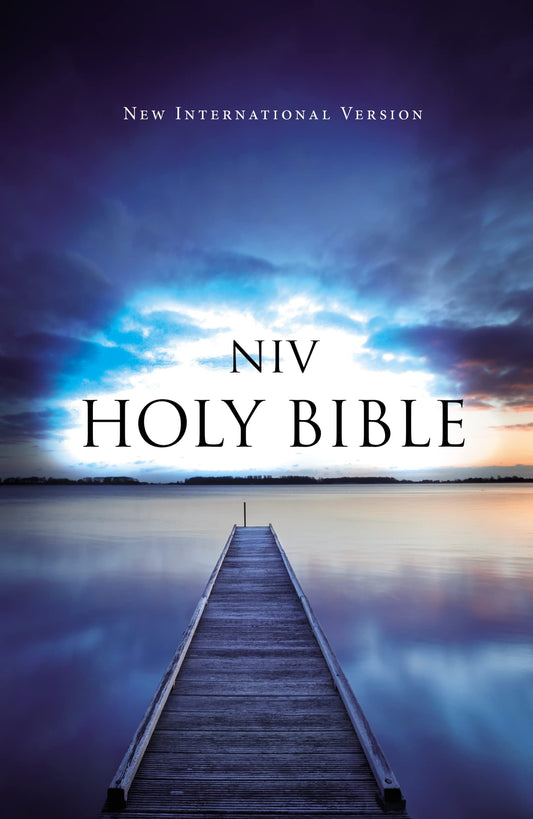 NIV, VALUE OUTREACH BIBLE, PAPER - 4436