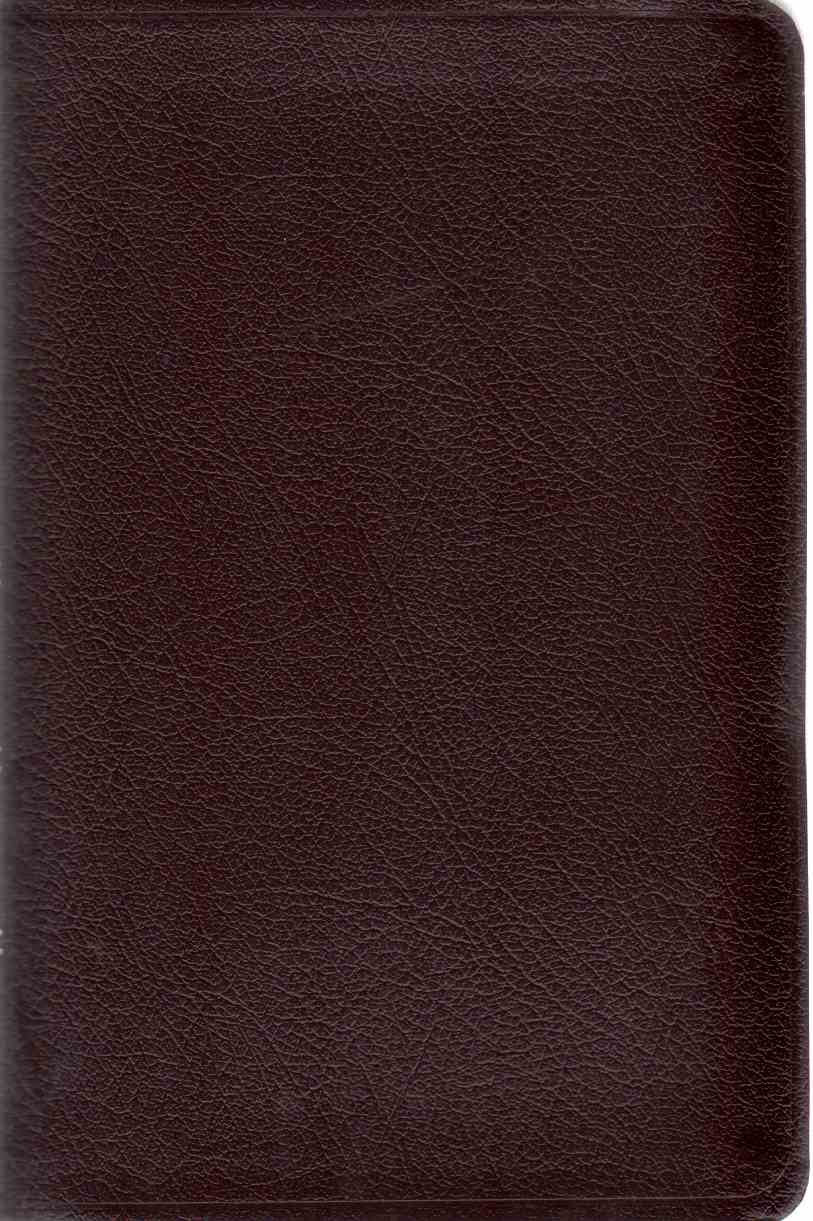 Thinline Bible: New International Version