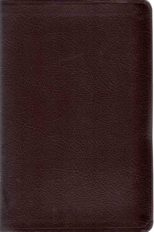 Thinline Bible: New International Version